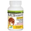 Micotherapy Maitake AVD