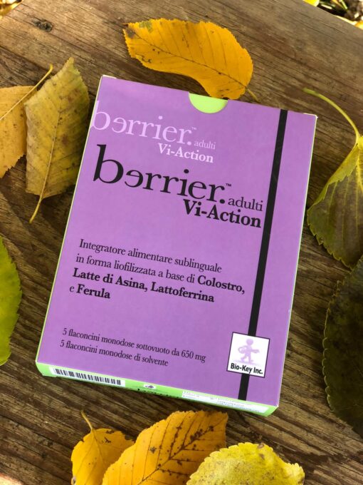 berrier vi action adulti