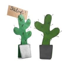 Pinza Cactus