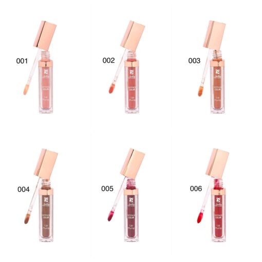 Defence Color Lip Plump Gloss