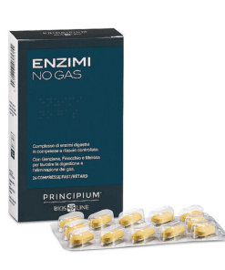 Principium Enzimi No Gas